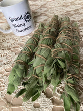 Load image into Gallery viewer, Sage Bundle