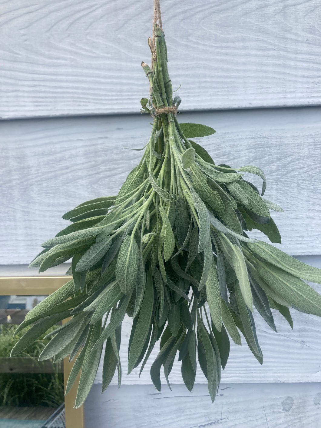 Bundle of sage
